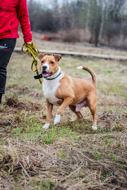 без имени-1205