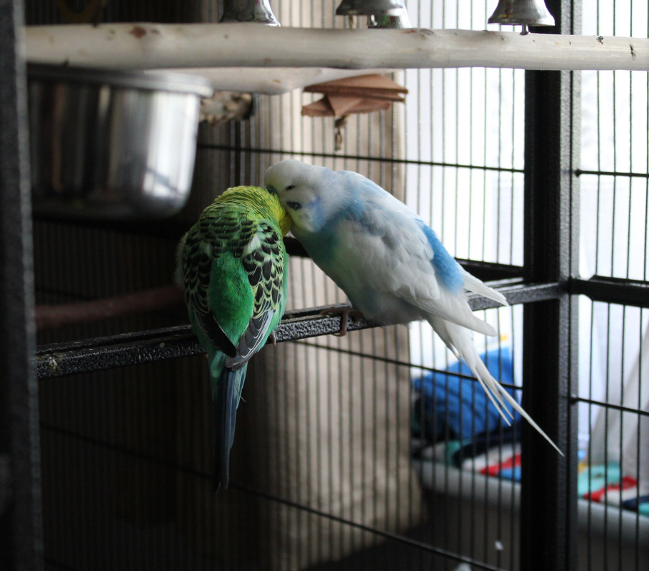 20230815100510 img 0819 — Postimages
