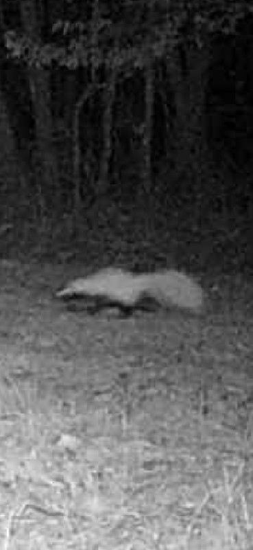 Screenshot_20250302_202037_Gallery