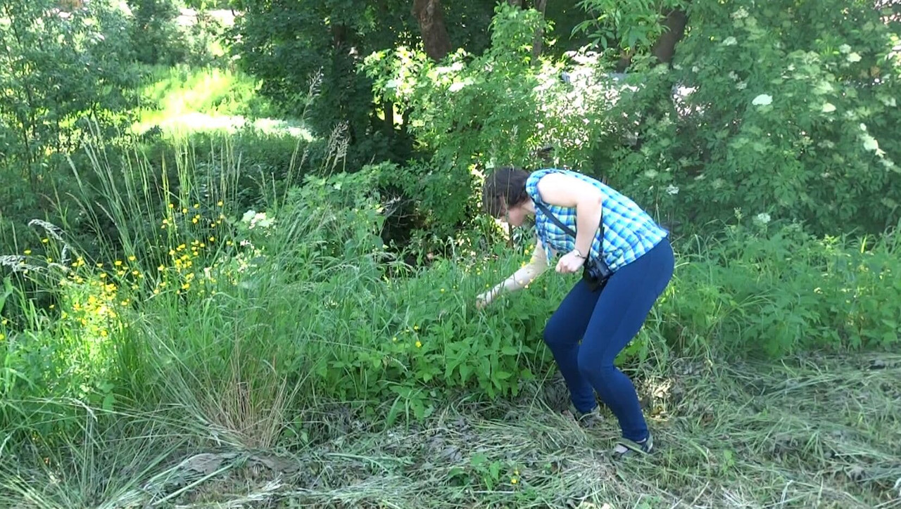 162 - Athenais zrywa kwiaty (VdL)