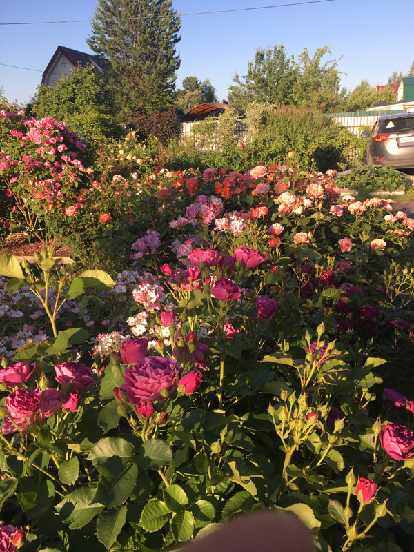 F5E933B8-BD4C-4916-8E4C-0AE8E4B92066