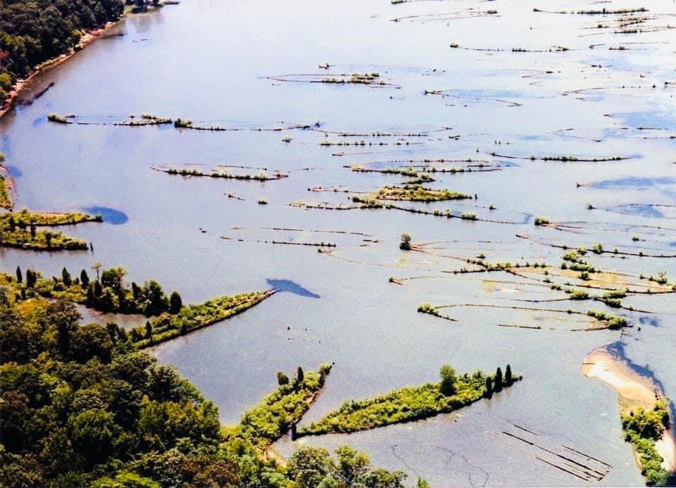 La flotte fantôme de Mallows Bay Image