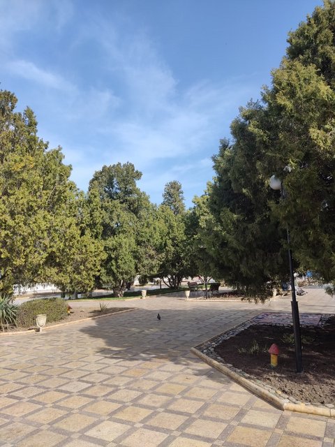 Еще немного Кавказа. Ставрополье в декабре и Дагестан в апреле