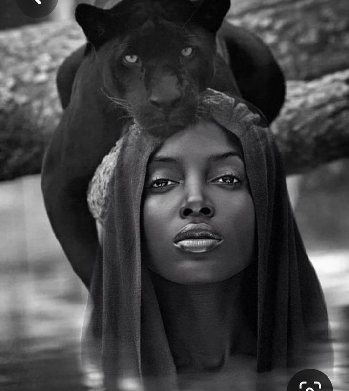 Screenshot_20230324_010652_Pinterest