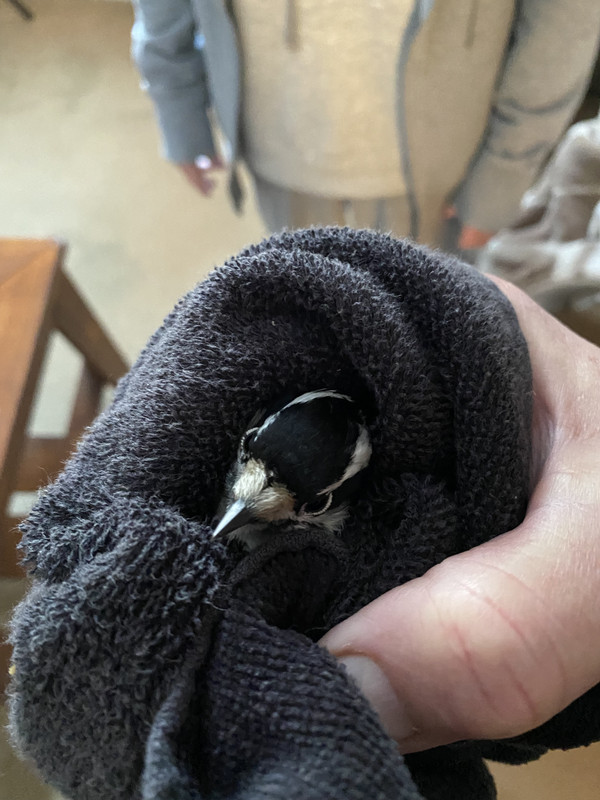 7089DBEB-AA4A-4937-A39F-AF4E8939E656