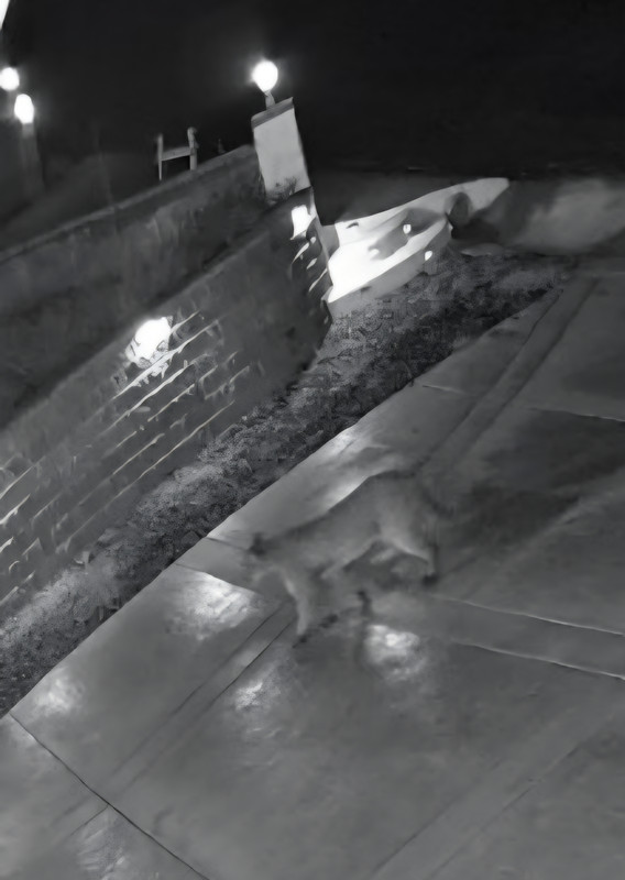 Screenshot 20260219 165930 Messages