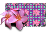 Magnolia.png