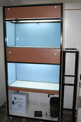 IMG_3676-400.gif