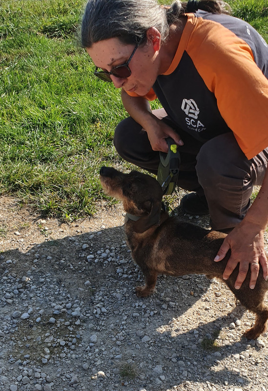 [Image: 20230707-074247.jpg]