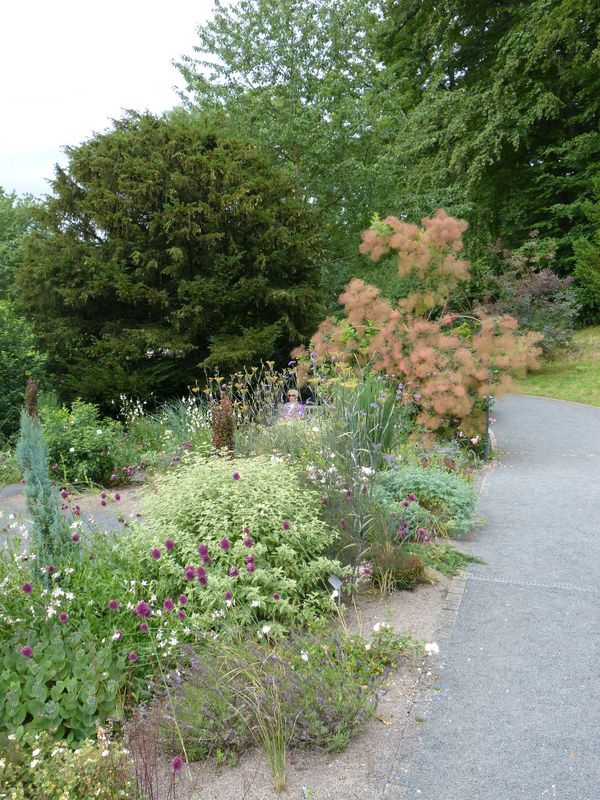2014-07-13 Arboretum Härle 19