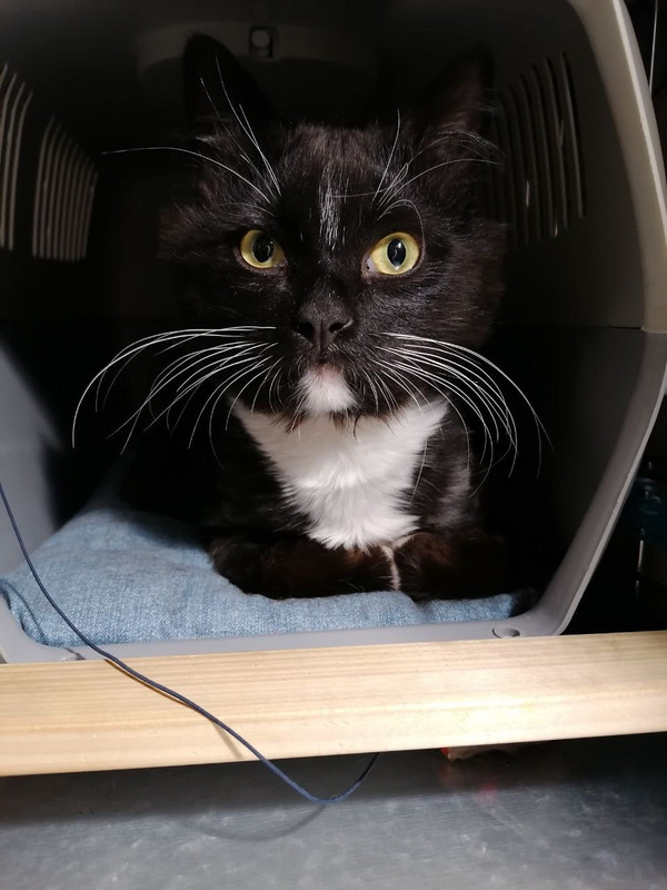 BC41FA7B-7E80-42F7-AC9A-AB5DCBE45A7F