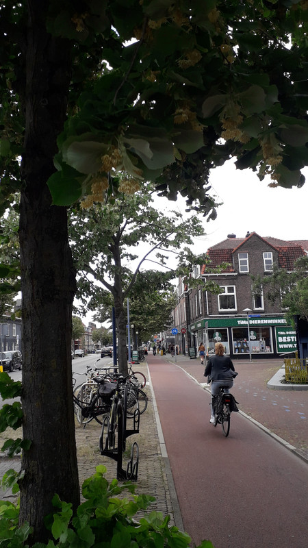 [Image: 20190701-170017.jpg]
