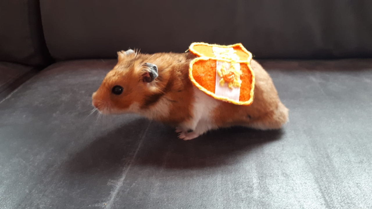 1770EA68-37B0-4295-87B9-241B9CBBC9BF