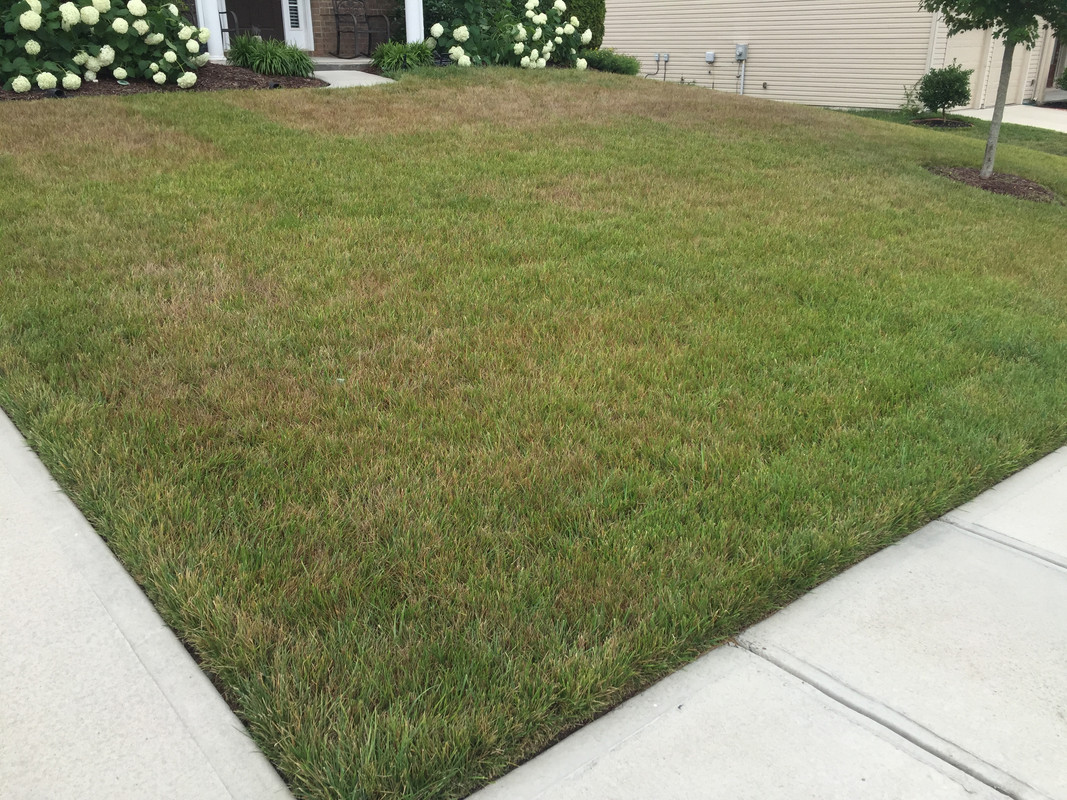 E7F94BC1-48C3-466F-B467-5A410279DFE5