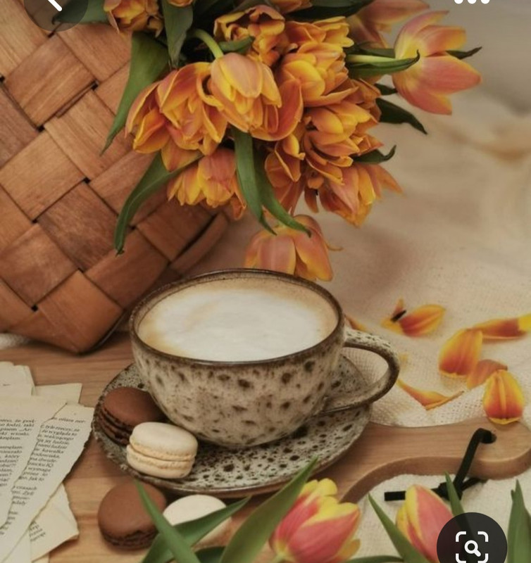 Screenshot_20230420_235139_Pinterest