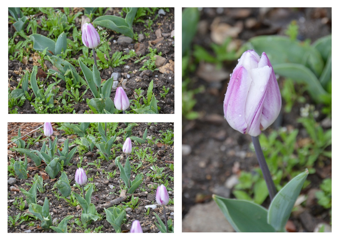 Новый коллаж.jpg 44