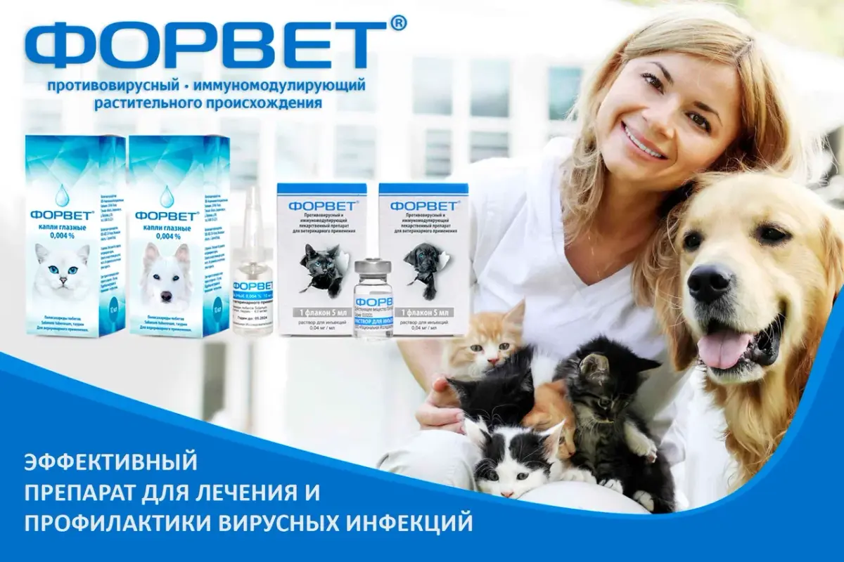 Картинка Форвет иньекции   капли