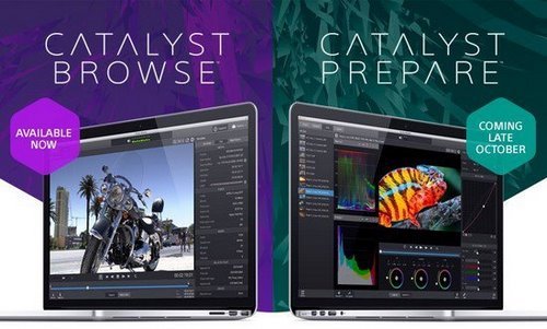Sony Catalyst Browse / Prepare Suite 2021.1 (x64)