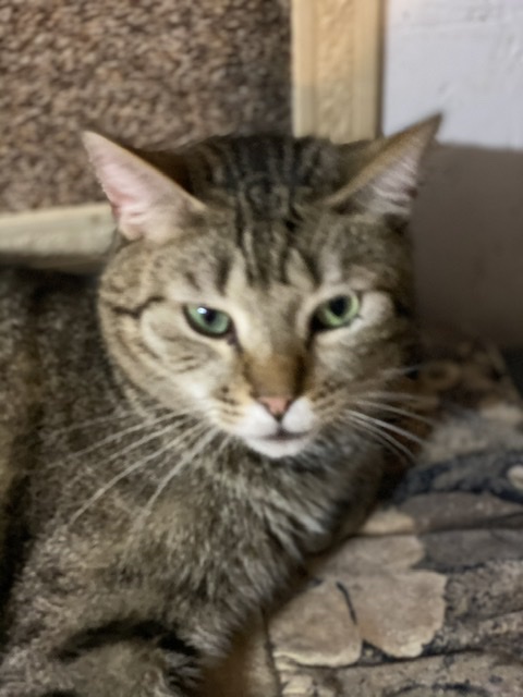 F8E40C56-5082-48BF-B66B-AE23992AB1DB