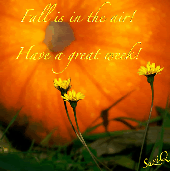 Fall-in-the-air-Great-week