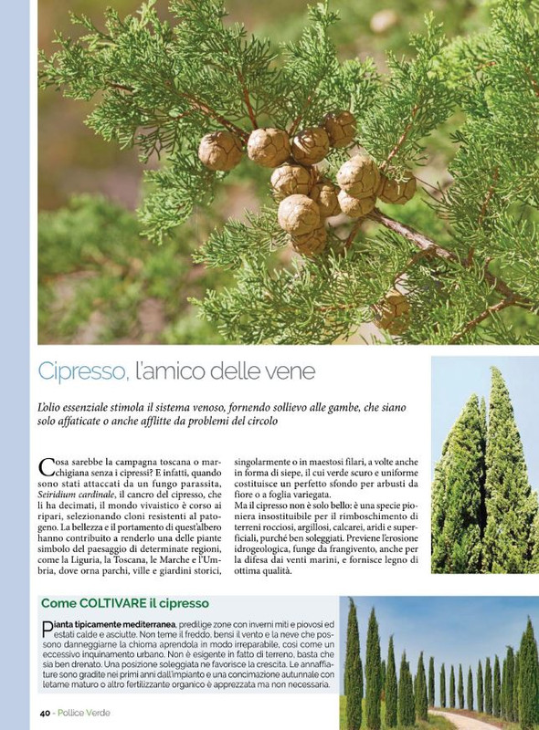 Pol Ver Ott 2021 (6)