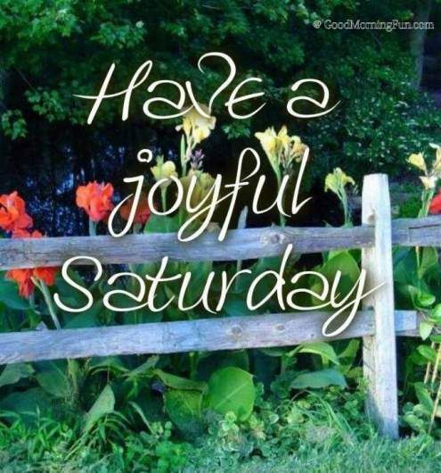 saturday-joyful-fence.jpg