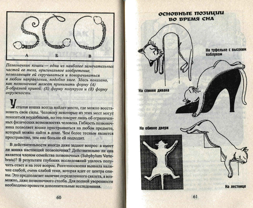 Bejker-Stiven-Kak-zhit-s-koshkoj-nevrotikom-page-0032