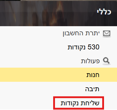 צילום מסך 2025-05-29 110109