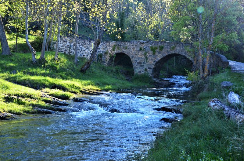 GARRAY Y SANTA CRUZ DE YANGUAS-25-5-2013 - Soria y sus pueblos-2010/2013/2020 (18)