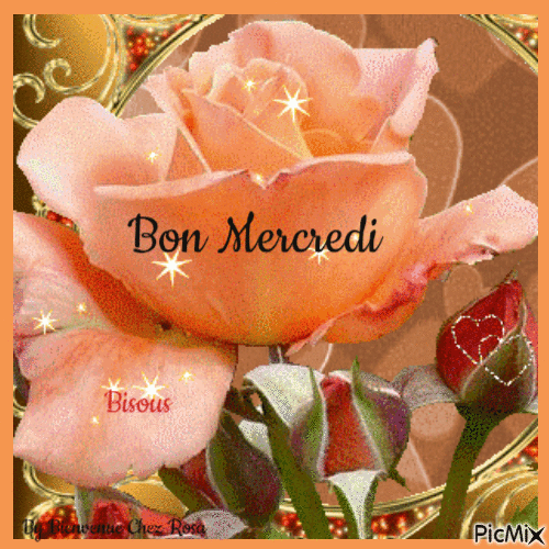 72c7ab3c6d36982c5333c435ded97f79