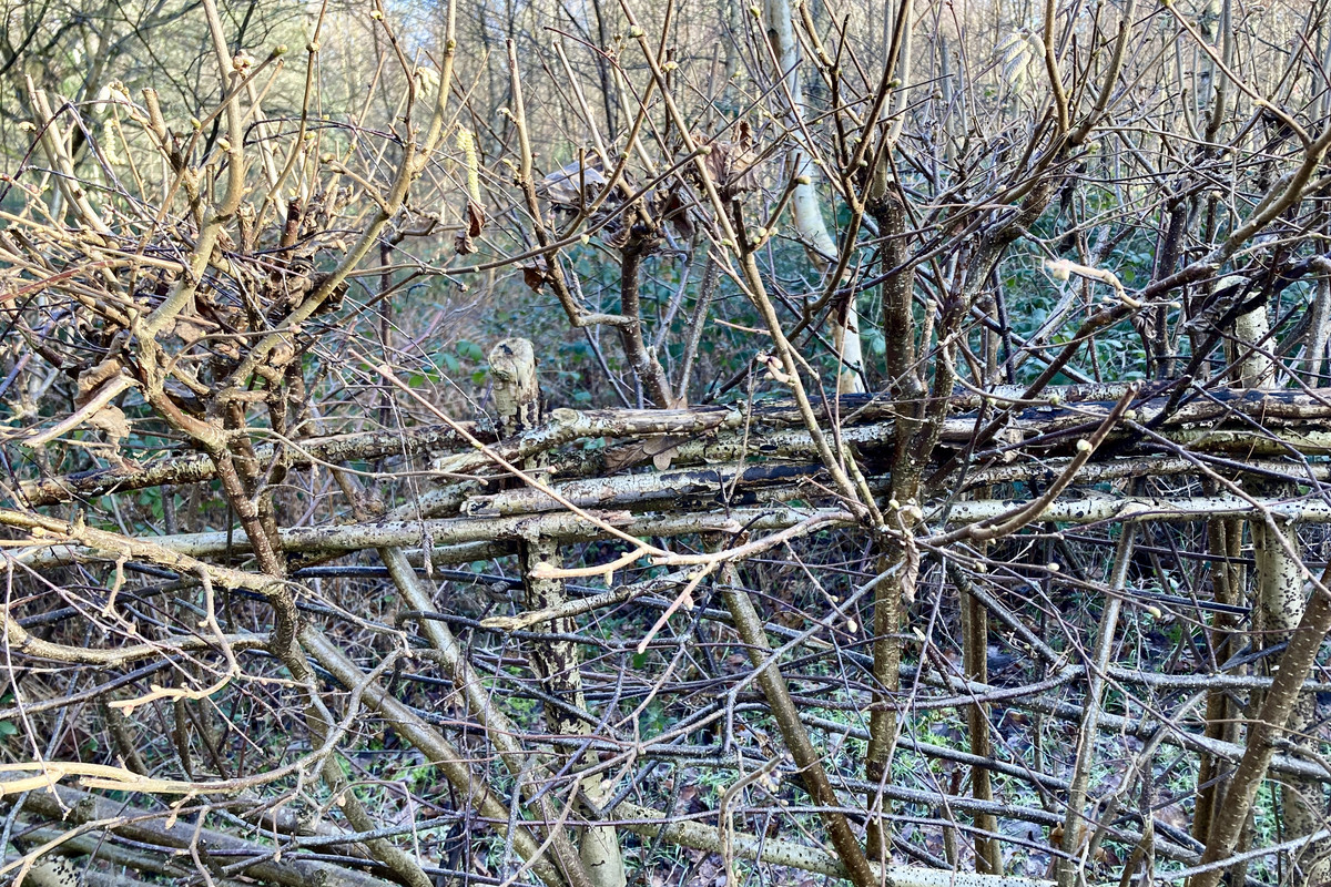 72C8AA2A-8A21-40A0-B329-F3DCFF5E0A34