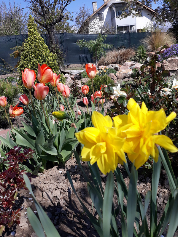 20190420_110010