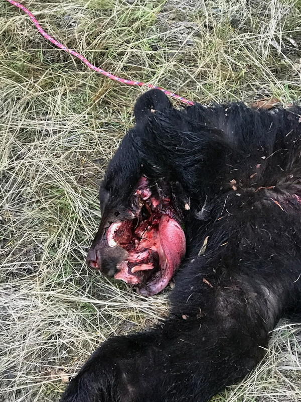 B3B068FF-6839-4A81-A8F2-E5A131C4A51E