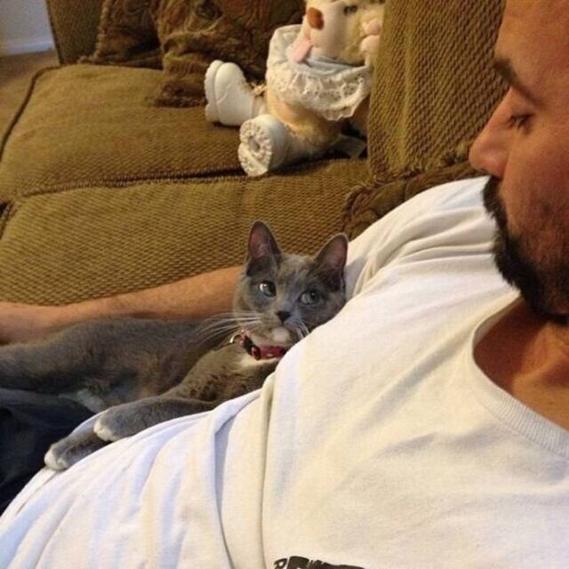 picdump-kw24-2025-006.jpg