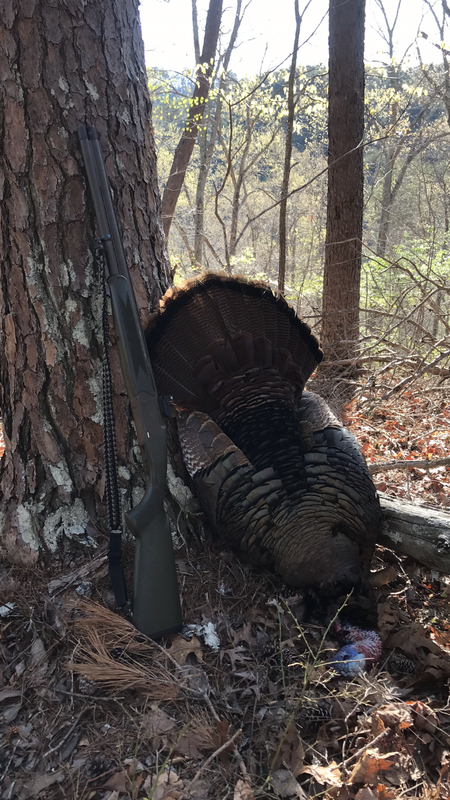 1798D426-4E97-4C4B-86D6-E6B6487EC89F