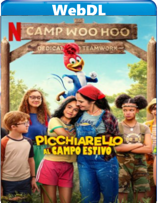 Picchiarello al campo estivo (2024) WEB-DL 1080p H264 E-AC3+AC3 ITA ENG