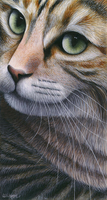 06-cropped-cat-2-carol-wilson