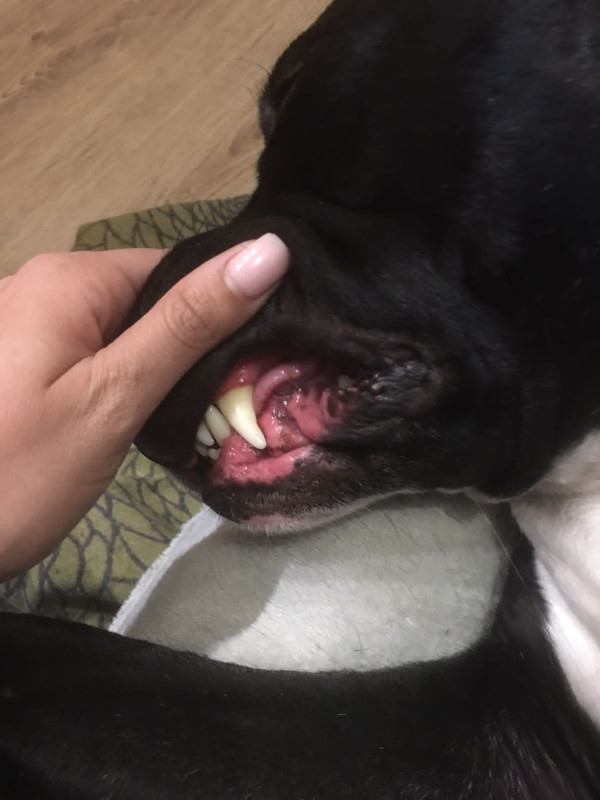 61C0A5EE-6077-40E1-A088-57767D985211