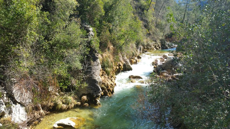 RUTA RIO BOROSA-12-3-2016-JAEN - Paseando por España-1991/2016 (3)