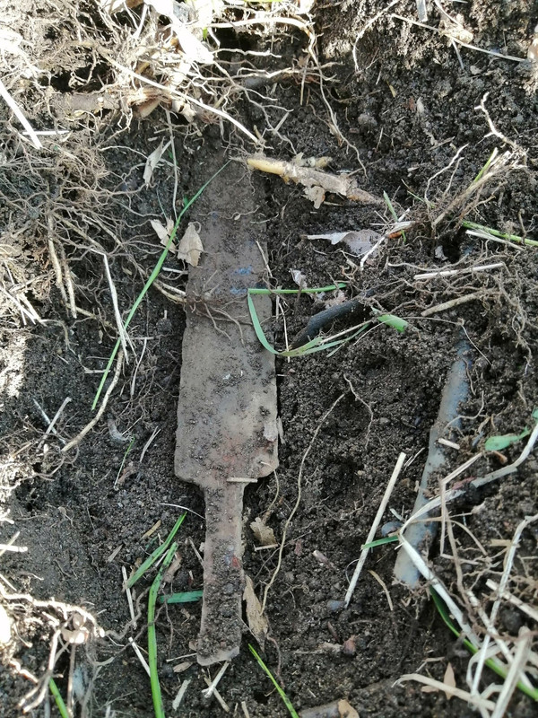 100074063_2562784690717994_8079348660808187904_n