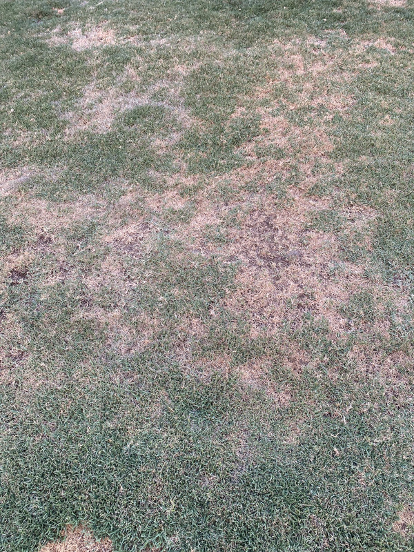 C18179D5-DEE6-4732-AD08-A8668B9C99D0