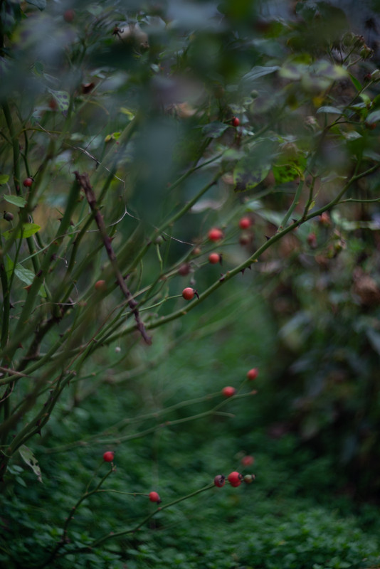 IMG-8b92de4f0d41dde758073fc227c0b321-V
