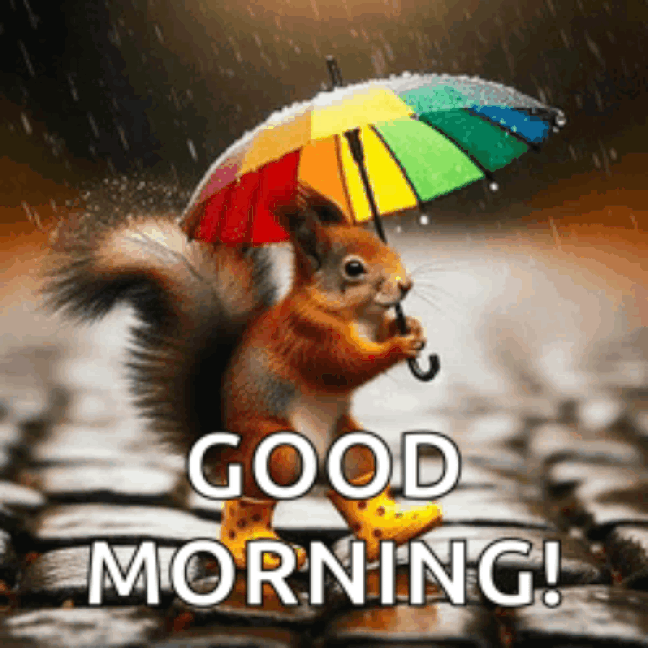 An den Beitrag angehängtes Bild: https://i.postimg.cc/d0gH2Scm/oie-1274958gfmp4-CM1.gif