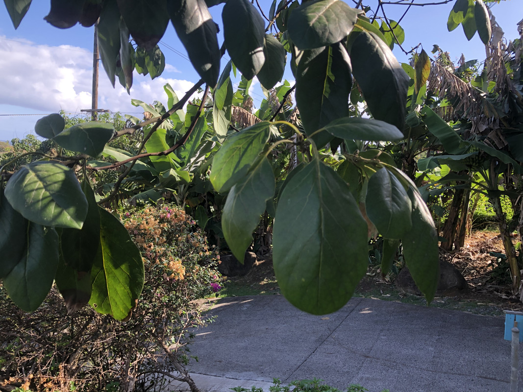 338D1FE1-E41E-4E88-AC13-CBC6BD8CE8C4