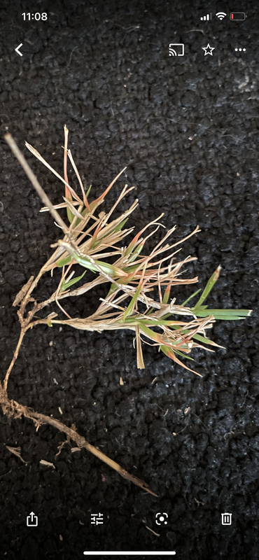 044D856F-4615-4F30-8BE6-C9E49C32295B