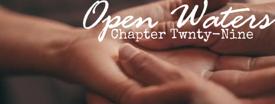 Chapter Twenty Nine: Hands holding each other. 