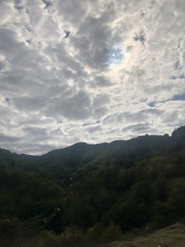 E9269F0D-8E78-4DF2-85E9-68374E5C64D0