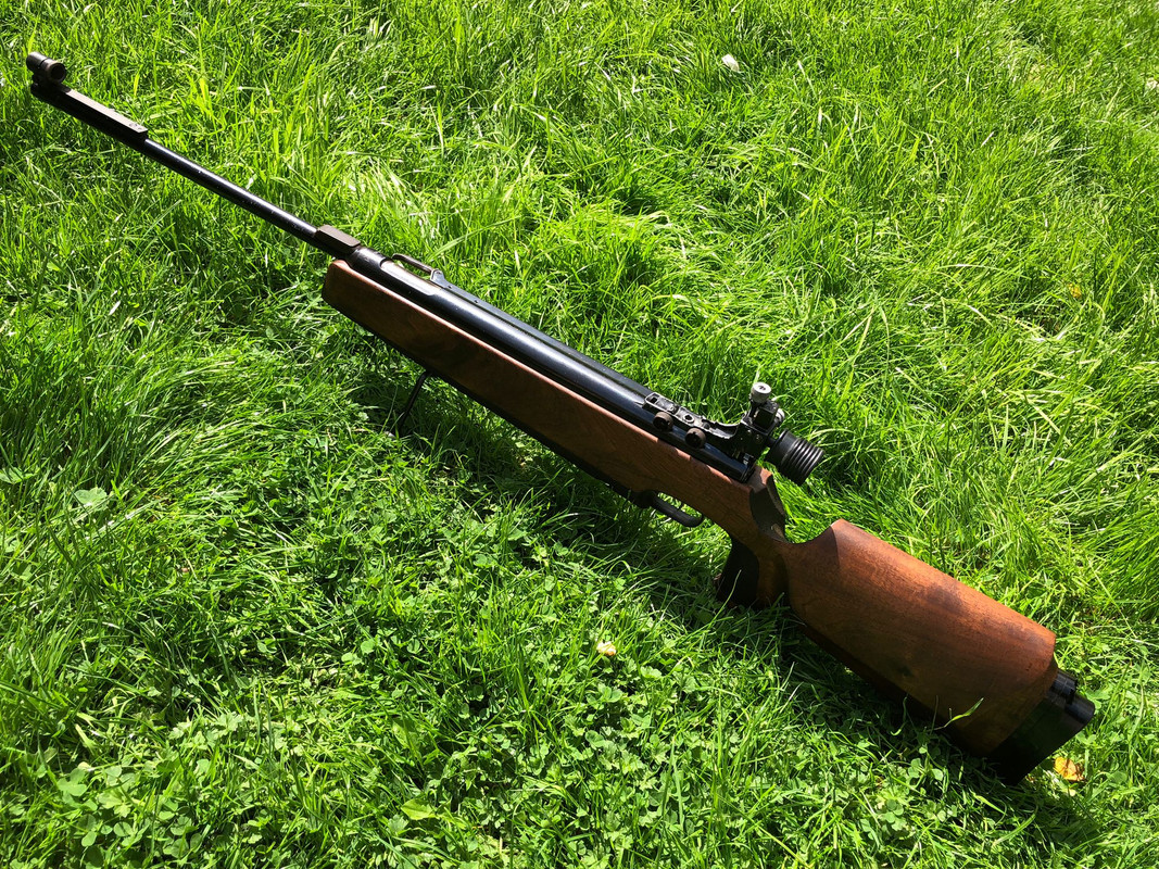 Anschutz-250-oiled-04