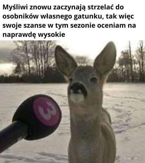 Obrazek