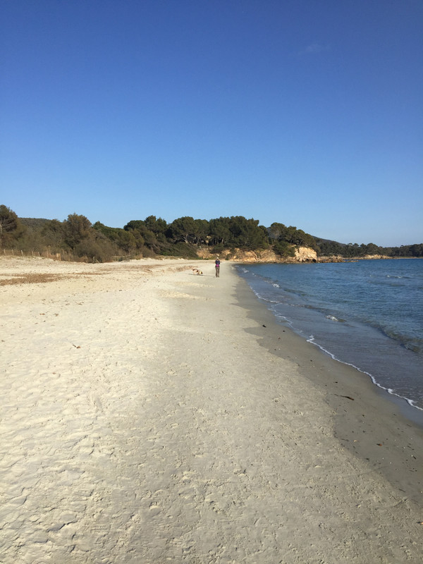 365F5F12-B692-4E17-953B-E204AF6DEBB2